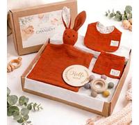 CHANSENY - Set de 5 piezas de algodón orgánico (conejo de peluche, mordedor de madera y silicona, babero, bolsa, disco de recuerdo) - regalo de nacimiento y baby shower (TERRACOTTA)