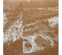 Chantler John - Which Way to Leave [Vinilo]