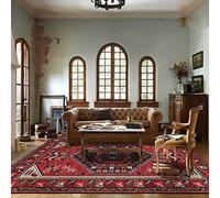 Chanxiang666 Alfombras Grandes Alfombra 180x280cm Estilo étnico geométrico Rojo Sala Estar/Dormitorio/despacho/Mesa de Centro. 180x280cm