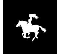 CHANYI 13.1X11.9Cm Dark Horse Y Sexy Girl Artesano Coche Pegatina Vinilo Calcomanía Estilo Fantástico Negro/Plata Parachoques Coche Inodoro Refrigerador Pared Motocicleta Bicicleta Decora