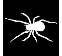 CHANYI 15.4Cmx8.8Cm Pegatina De Coche Silueta Divertida Araña Insecto Descorales Ventana Vinilo Impermeable