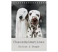 Chaosdalmatiner Sirius und Snape (Tischkalender 2026 DIN A5 hoch), CALVENDO Monatskalender: Außergewöhnliche Dalmatiner Portraits