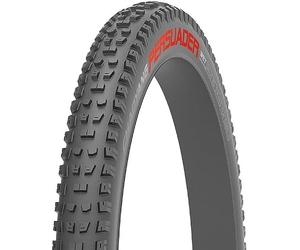 CHAOYANG Tyre 29x2,4 Persuader Wet 60TPI Tubeless Ready BtoB