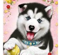 Chaozhirui Kit de punto de cruz con patrón fácil para adultos y principiantes,11CT bricolaje, Chica Sirena Colores de hilo vibrantes- 40x50cm (Sirena)