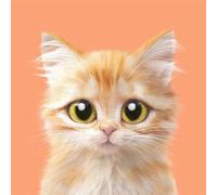 Chaozhirui Kit de punto de cruz con patrón fácil para adultos y principiantes,11CT bricolaje, Chica Sirena Colores de hilo vibrantes- 40x50cm (Sirena)