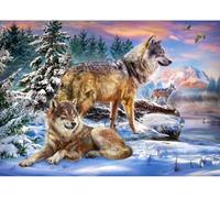 Chaozhirui Kit de punto de cruz con patrón fácil para adultos y principiantes,11CT bricolaje, Mozart Gato Gatito Animales Colores de hilo vibrantes- 40x50cm (Gato)