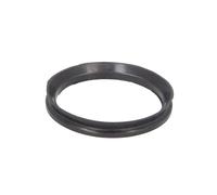 Chapa antipolvo rodamiento de rueda TEDGUM 00217006