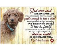 Chapa De Metal, Frases Que Una Vez Dijeron: Necesito A Alguien Goldendoodle, Placa De La Pared Póster Decorativo, Protección UV Señal De Advertencia para Decoración Oficina, 20X30Cm