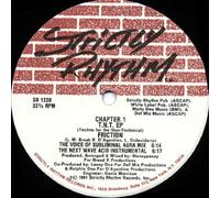 Chapter 1 - T.N.T. EP (Techno For The Non-Technical)