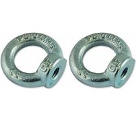 Chapuis 901/10Z Anillo de elevación hembra - Acero C15 - M10-230 kg (Paquete de 2)