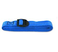 Chapuis gab04 - Juego de 2 correas de polipropileno con hebilla plástico - Tensión máxima de uso 20 kg - anchura 25 mm - longitud 2, 5 m - azul, Set de 2 piezas