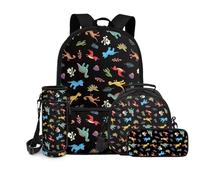 chaqlin Juego de mochila escolar para niños y niñas, bolsas escolares con lonchera y estuche para lápices, portabotellas de agua, juego de 4 bolsas para libros, bolsas para almuerzo, bolsa para