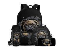 chaqlin Mochila escolar para niños, juego de 4 piezas, bolsa de almuerzo para estudiantes, bolsa de almuerzo de gran capacidad, estuche para niñas, estuche de regreso a clases, bolsa de transporte