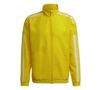 Chaqueta adidas Squadra 21 Training M