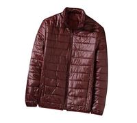 Chaqueta de invierno para hombre, monocolor, mate, chaqueta de entretiempo, ligera, chaqueta acolchada de plumón, abrigo de invierno cálido, con cremallera, cuello alto, chaqueta acolchada, cómoda