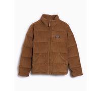 Chaqueta de plumas Straight Patagonia Cord Fjord para mujer Marrón XL