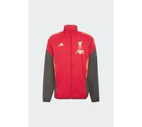 Chaqueta Presentación Liverpool Fc Tiro 25 Competition adidas MKP
