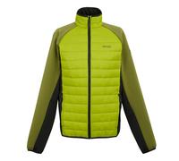 Chaqueta Regatta Clumber IV 2XL Male