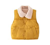 Chaquette sans manches à fermeture éclair pour bébé et enfant, automne hiver, avec col doux et doublure polaire chaude, vêtement d'extérieur léger pour garçon et fille, taille 18-24 mois à 3-4 ans