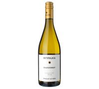 Chardonnay 2025 - Intipalka