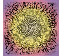 Charles Moothart - Black Holes Don't Choke [VINYL] [Vinilo]