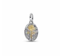 Pandora Charm medallón 764087C00 rosa