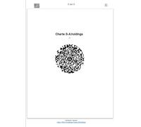 Charte S-Д.holdings