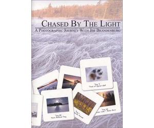 Chased by the Light