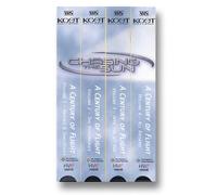 Chasing the Sun [USA] [VHS]