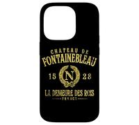 Château de Fontainebleau Francia La Demeure Des Rois Envejecido Carcasa para iPhone 14 Pro