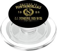 Château de Fontainebleau Francia La Demeure Des Rois Envejecido PopSockets PopGrip para MagSafe