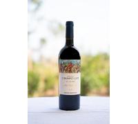 CHÂTEAU L'HOSPITALET COLECCION DE ARTE 2020 - "EL VINO DE NUESTROS PAISAJES" ROBERT COMBAS