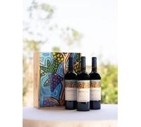 CHÂTEAU L'HOSPITALET COLECCION DE ARTE 2020 - "EL VINO DE NUESTROS PAISAJES" ROBERT COMBAS