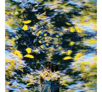 Chaton Laveur - Labyrinthe [Vinilo]