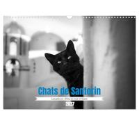 Chats de Santorin - Les princes d'Oia en noir et blanc (Calendrier mural 2027 DIN A3 vertical), CALVENDO calendrier mensuel: Quelques portraits de chats croisés au hasard des ruelles d'Oia.