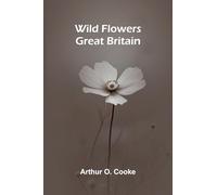 Chaucers Works Volume 1 Romaunt of the Rose Minor Poems (Edition1)