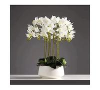 CHCWR 3/6/10 Cabezas Orquídeas Artificiales Plantas en Maceta Blanca para decoración Toque Real Phalaenopsis Bonsai Arreglos de Mesa para hogar/parrous/Boda