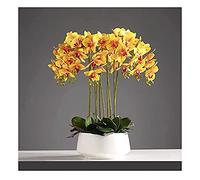 CHCWR 3/6/10 Cabezas Orquídeas Artificiales Plantas en Maceta Blanca para decoración Toque Real Phalaenopsis Bonsai Arreglos de Mesa para hogar/parrous/Boda