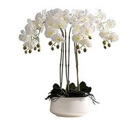 CHCWR 3/6/10 Cabezas Orquídeas Artificiales Plantas en Maceta Blanca para decoración Toque Real Phalaenopsis Bonsai Arreglos de Mesa para hogar/parrous/Boda