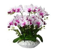 CHCWR Flores Falsas realistas Phalaenopsis Flor Artificial con jarrón de cerámica Set de Flores Falsas para la Sala de Estar de la Sala Decoración de Flores de plástico (b)