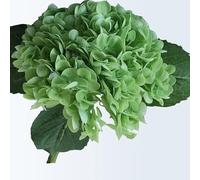 CHCWR Juego de 5 hortensias artificiales 3D realistas al tacto real, regalo para decoración del hogar, fiesta, arreglo de boda