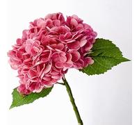 CHCWR Juego de 5 hortensias artificiales 3D realistas al tacto real, regalo para decoración del hogar, fiesta, arreglo de boda