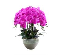 CHCWR Orquídeas artificiales con jarrón para decoración del hogar, decoración del hogar, decoración de centro de mesa de PU Phalaenopsis, bonsái, plantas falsas, arreglo de flores, hogar, oficina