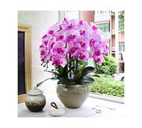 CHCWR Orquídeas Artificiales con jarrón para decoración del hogar PU phalaenopsis Bonsai Plantas Falsas arreglo