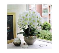CHCWR Orquídeas Artificiales con jarrón para decoración del hogar PU phalaenopsis Bonsai Plantas Falsas arreglo