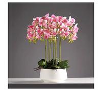 CHCWR Orquídeas artificiales de 3/6/10 cabezas en maceta blanca para decoración, decoración de mesa falsa de Phalaenopsis bonsái, arreglos de mesa para el hogar, salón, fiesta de boda