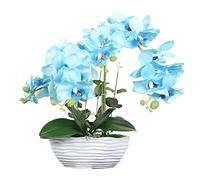 CHCWR Orquídeas artificiales Phalaenopsis en maceta de cerámica, plantas artificiales realistas, orquídeas mariposas, adornos bonsái para centros de mesa, habitación, decoración del hogar e interiores