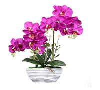 CHCWR Orquídeas artificiales Phalaenopsis en maceta de cerámica, plantas artificiales realistas, orquídeas mariposas, adornos bonsái para centros de mesa, habitación, decoración del hogar e interiores