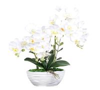 CHCWR Orquídeas de Phalaenopsis Artificiales en la Olla de cerámica Plantas Artificiales Realistas Orquídeas de Mariposa Adornos de Bonsai para la Mesa Centrerepieces Decoración del hogar