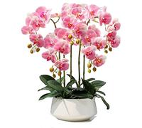CHCWR Phalaenopsis Artificial con florero simulación Decorativa en Maceta Orquídeas Falsas Plantas Artificiales para la Sala de Estar Mesa de café Gabinete de televisión Decoración del hogar